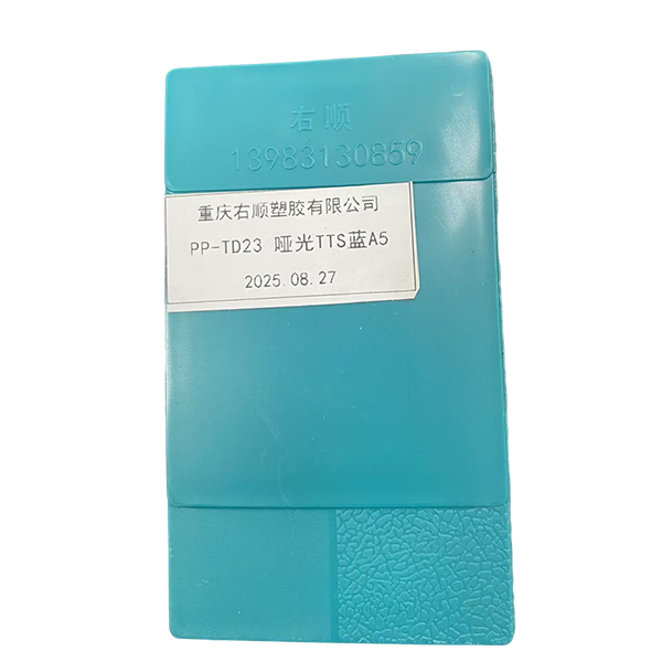 PP-TD23 哑光 TTS蓝A5